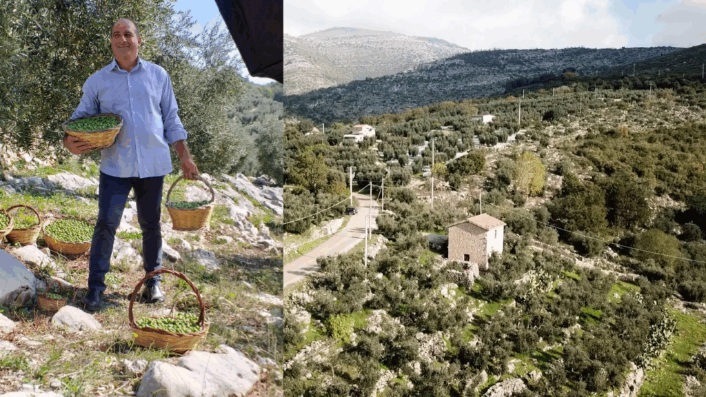 Progetto senza titolo (1)